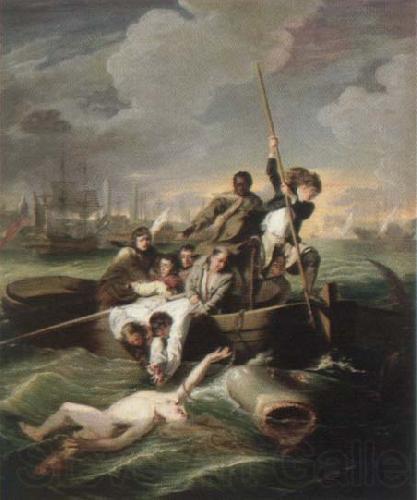 John Singleton Copley watson and the shark Germany oil painting art